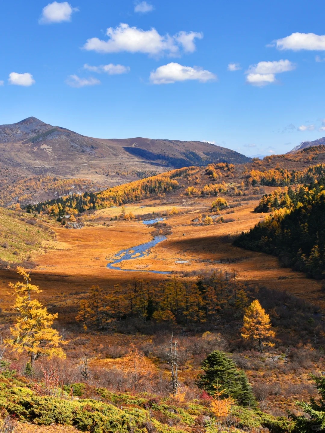 香格里拉尼汝秘境徒步_2_飞阅山河_云南-香格里拉-来自52tours 我爱旅游网